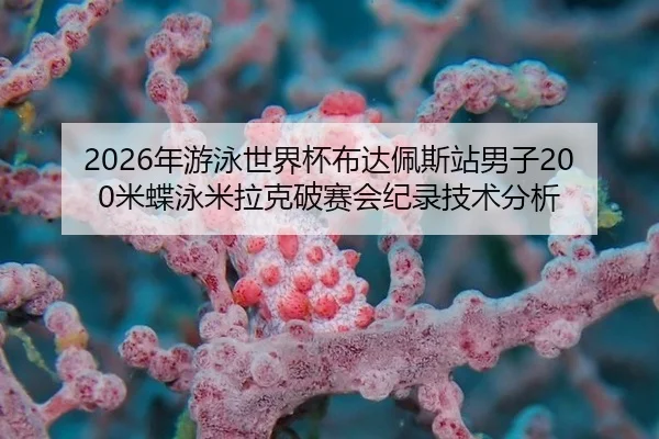 2026年游泳世界杯布达佩斯站男子200米蝶泳米拉克破赛会纪录技术分析